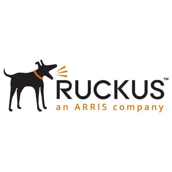 AP management license SZ-100/vSZ3.X, 1 Ruckus AP License.